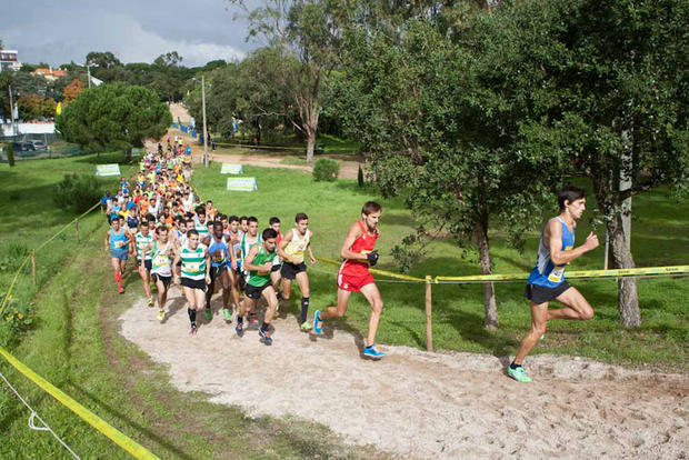 Corta-Mato Cidade de Amora