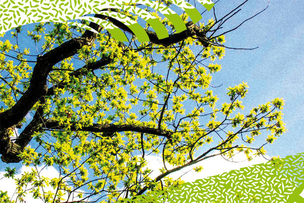 Detalhe da imagem gráfica do concurso de montras