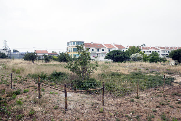 Horta Urbana do Soutelo