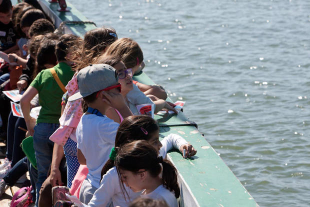 A bordo do varino «Amoroso»