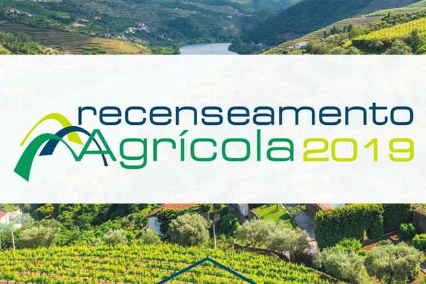 recenseamento agrícola2019