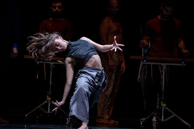 Timber (Fotografia-de Joana Rodrigues)