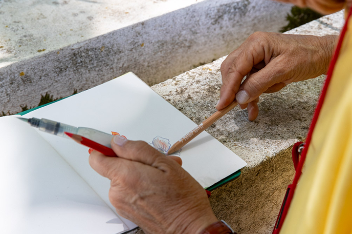 Drawing to Know: What is Quinta da Fidalga Made Of?