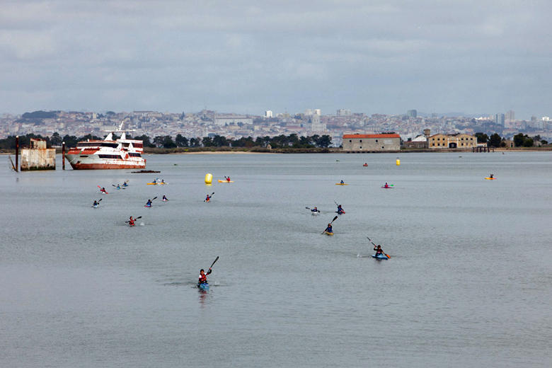 Campeonato regional de fundo
