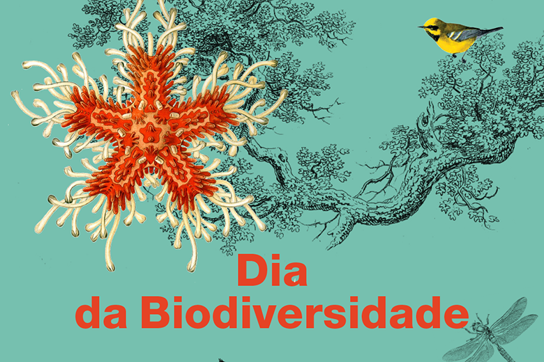 Dia da Biodiversidade